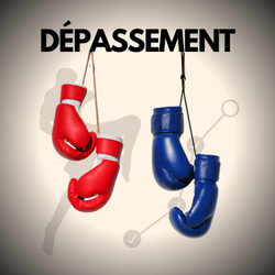 image de 2 paires de gants et combattant coup de genou en arrière plan qui évolue